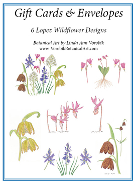 Gift cards by Vorobik: Lopez Island Wildflowers